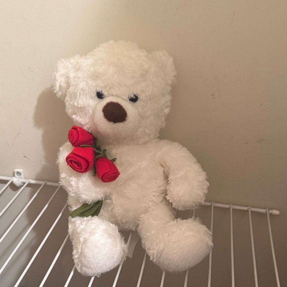 White Teddy Bear with Red Roses
